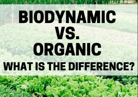 Biodynamic Farming vs. Organic