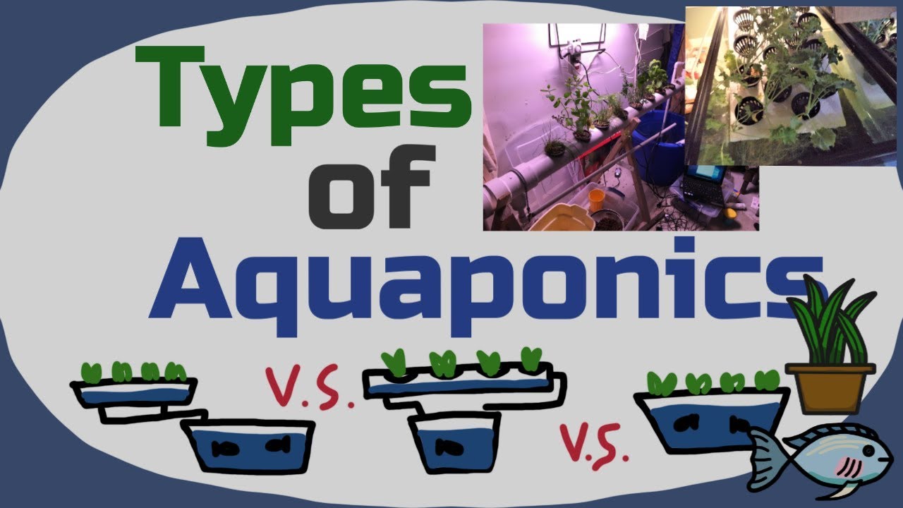 Types of Aquaponic Systems