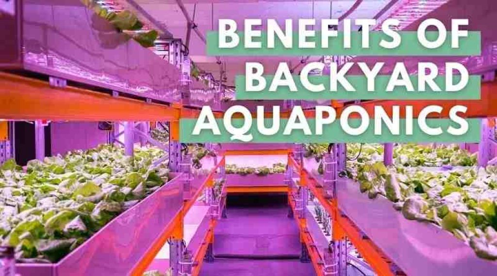Aquaponic Benefits