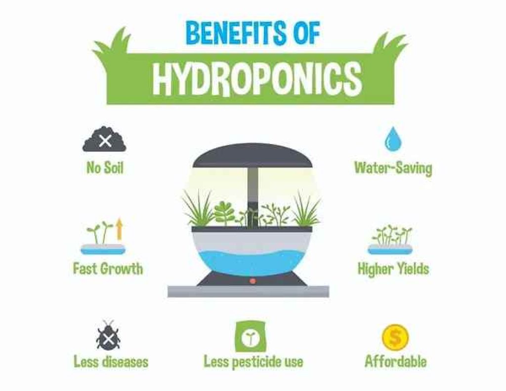 Benefits of hydroponics