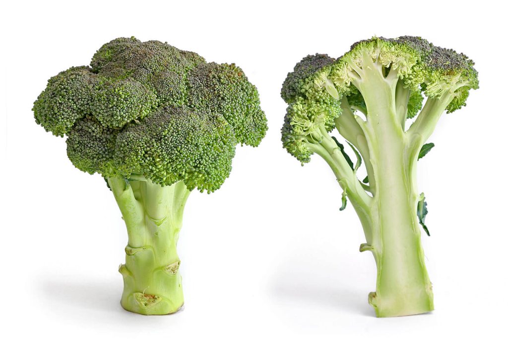 Broccoli aquaponics