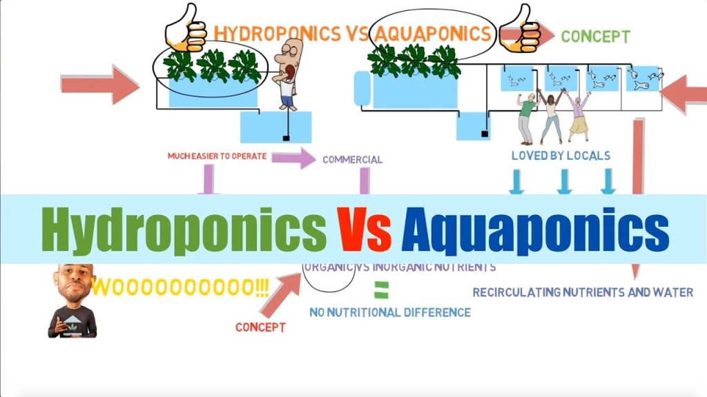 Key differences between Aquaponics and Hydroponics