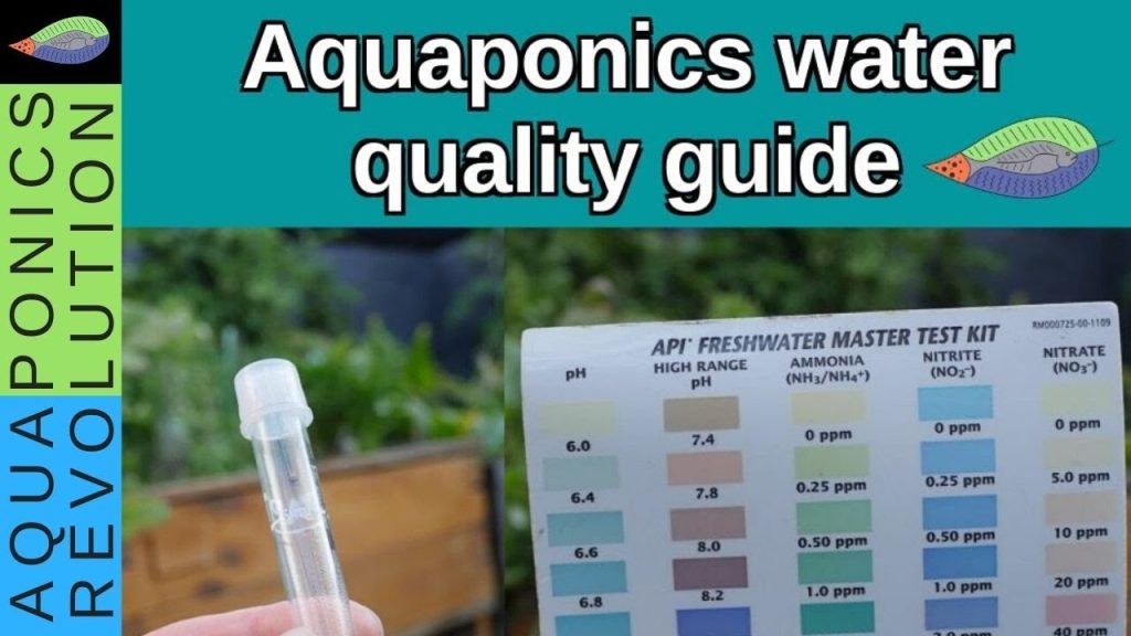 Maintaining Optimal Water Quality for Aquaponic Fish Health