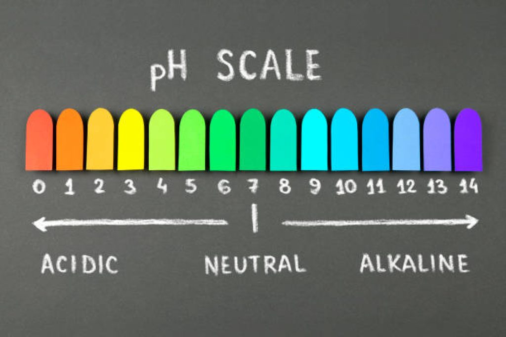 The importance of maintaining proper pH levels in hydroponics