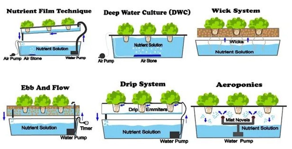 Types of hydroponic systems
