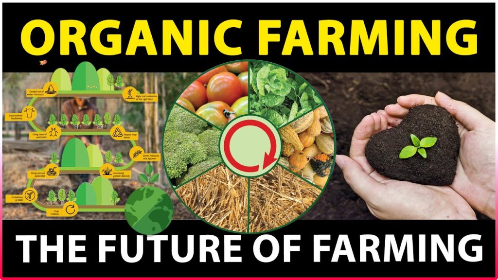 What is organic farming
