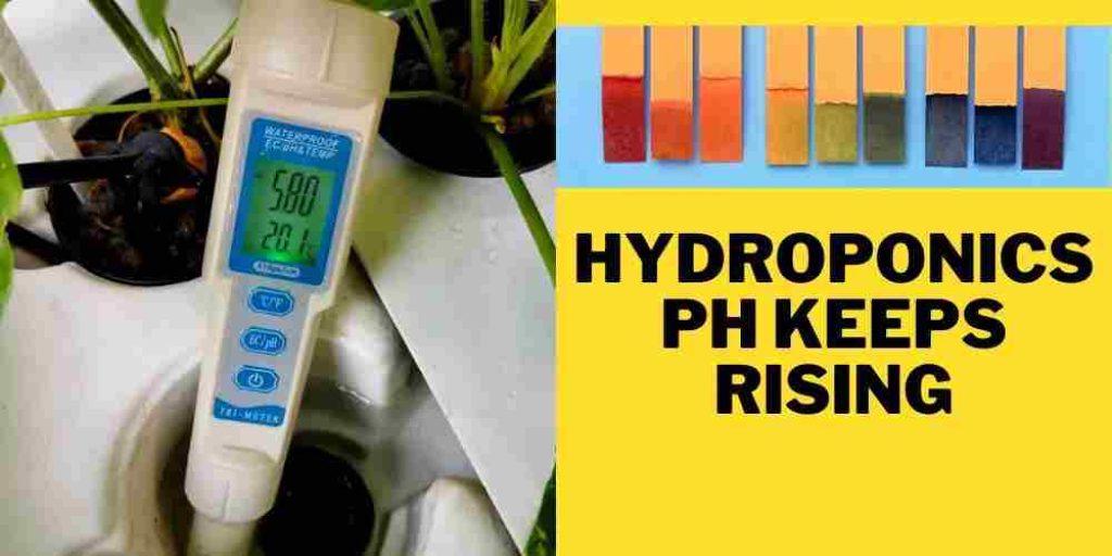 pH levels in hydroponics